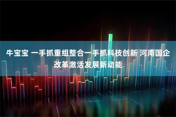 牛宝宝 一手抓重组整合一手抓科技创新 河南国企改革激活发展新动能